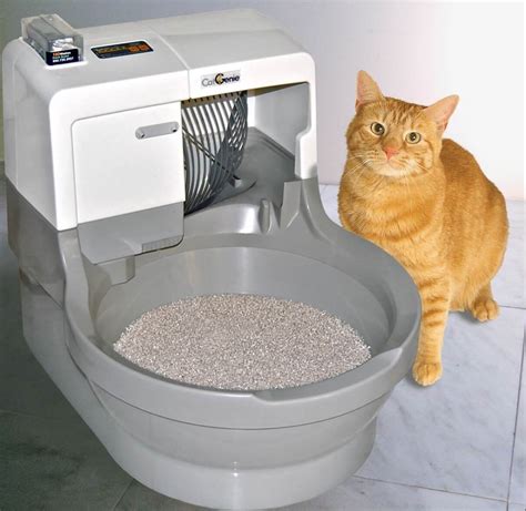 best automatic litter box|self cleaning litter boxes for cats.